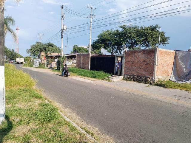 Foto de la galeria de imagenes